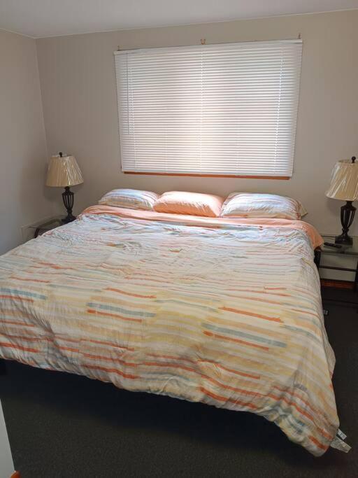 Private Upper 1 Bd Apartment *